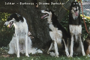 Ishtar, Darkness and Dianna Darkstar from front